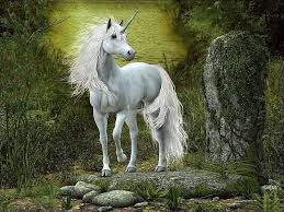 Unicorndelight88